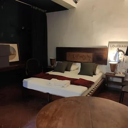 Lovely Portion Of Near Piazza Santo Spirito Apartment *